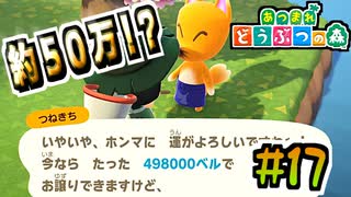 【あつまれどうぶつの森実況】市場価格の100倍の値段を提案するその根性 #17