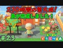 VIPルームでビクロイするつもりで島を完成させる　「あつまれどうぶつの森」　＃23