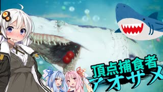 【Maneater実況05】安高価ゲーム好きの琴葉姉妹とサメのシャークイーター作戦