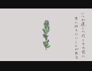 花束 / きりたん