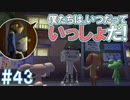 隠れた名作！どこでもいっしょ・トロと流れ星を実況プレイ その43