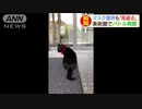「また来たニャ」美術館入り口　警備員との攻防再開(20_06_02)
