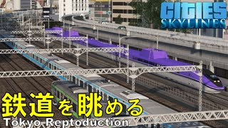 WIN350が東京の街並みを駆け抜けたり、夜景をながめたりする動画【Cities:Skylines 定点観測 鉄道 Tokyo Japan City 】