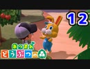 【実況】新たな無人島開拓生活【あつまれ どうぶつの森】#12