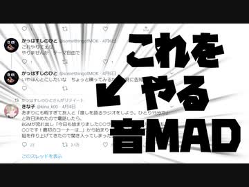 これをやる音MAD