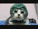 身内向けバトオペ２ Part12