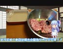 琴葉姉妹と行く釣行記録（暇潰し編part5）