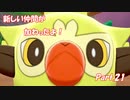 【縛り実況】ポケモン初心者が、愛する犬ポケ達とガラル地方を巡る旅　Part.21