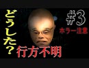 【ホラー実況】行方不明を追うホラーゲームが不気味すぎる件#3〈行方不明〉