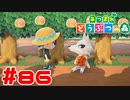 【実況】果樹園の通路で休んでしまうシベリア #86【あつまれどうぶつの森】