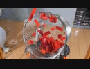 【LEGO】レゴの自動ホコリ取り装置をつくった