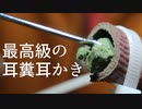 【ASMR】緑の耳糞があなたをゾクゾクさせる奥行き耳かき【音フェチ】