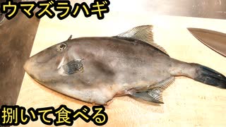 ウマズラハギを捌いて食べてみた