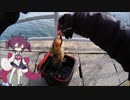 超短い竿で遊ぶ。