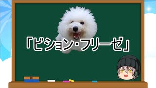 【ゆっくり解説】犬種２３：ビション・フリーゼ