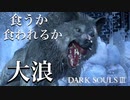 【ダークソウル3】まて！シフもどき！お前に墓が救えるのか！【初見実況プレイ#36】