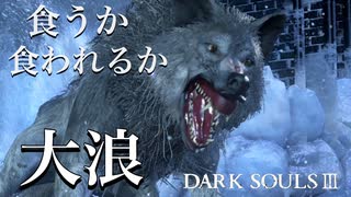 【ダークソウル3】まて！シフもどき！お前に墓が救えるのか！【初見実況プレイ#36】