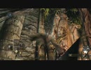 【ダークソウル2】初見プレイで変なバグに遭遇した！【カカシバグ】