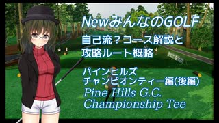 NewみんなのGOLF　自己流？コース解説と攻略ルート概略【パインヒルズCT編】　後編