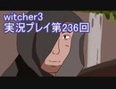 探し人を求めてwitcher3実況プレイ第236回