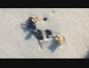 Blinker The Star - Only To Run Wild (Official Video)