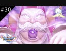 【DQ11S】サムネ黒ニンニクを食べたおじいちゃん【#30】