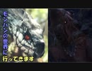【MHW】モンハンの世界に行ってきます　part７【実況プレイ】