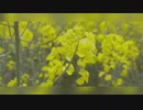 風見芳明
