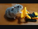 ブルドーザー作ってみた！ I made a bulldozer!  #53【ハムスター物語】