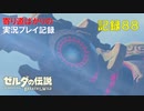 【寄り道ばかりの】ゼルダの伝説BotW【実況プレイ記録88】リトの村で防寒装備を買う