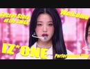 IZ*ONE ✨ Welcome + Secret_Story_of_the_Swan　Performance_Film　✅字幕付
