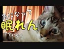 まったりお昼寝中に訪問してみた。