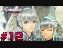 【ゼノブレイドDE】追加ストーリー『つながる未来』をゆっくり実況 Part12