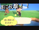 【あつまれ どうぶつの森】　第二十九幕　何度も襲われてきた蜂に遂に反撃成功！！