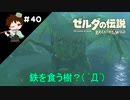 【実況】マスターモードでやりこみサバイバル生活！！　Part40　【ゼルダの伝説　BotW】