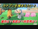 あつまれどうぶつの森　カナブンを捕まえる条件とは！？季節は？場所は？時間帯は？　虫図鑑コンプへの道！虫捕り攻略。　【あつ森】