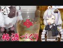 あかりめし#3「梅酒作って飲む」