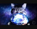 猫の世界