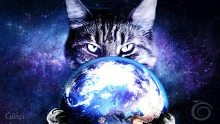 猫の世界