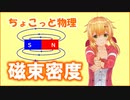 ちょこっと物理【磁束密度】