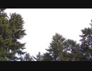 Low flying government spy plane makes an easy slow target your pathetic trash