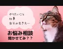 ヘアカットが苦手。いったいどう頼んで良いのか分からない　#キクタのお悩み相談