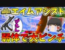 【フォートナイト】エイムアシスト弱体化でれいむさん完全終了のお知らせ・・・なんだこのアプデは！？　その408【ゆっくり実況】【Fortnite】
