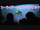 シーライダーって知ってますか【タートルトーク】東京ディズニーシー