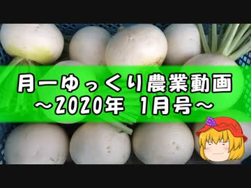 月一ゆっくり野菜栽培 2020年1月