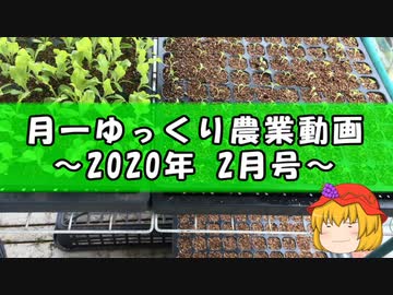 月一ゆっくり野菜栽培 2020年2月