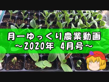 月一ゆっくり野菜栽培 2020年4月