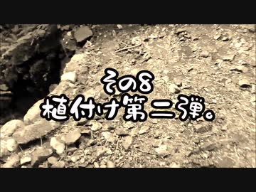 わさびやってます。2020　その8　植付け第二弾。