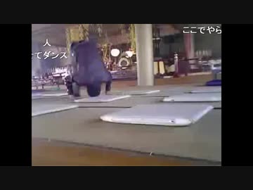 横山緑、織田無道のお寺で前転にチャレンジ