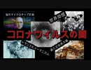 【騙されている人続出！？】新型コロナウイルスの裏に隠されている驚きの事実4選【都市伝説】
